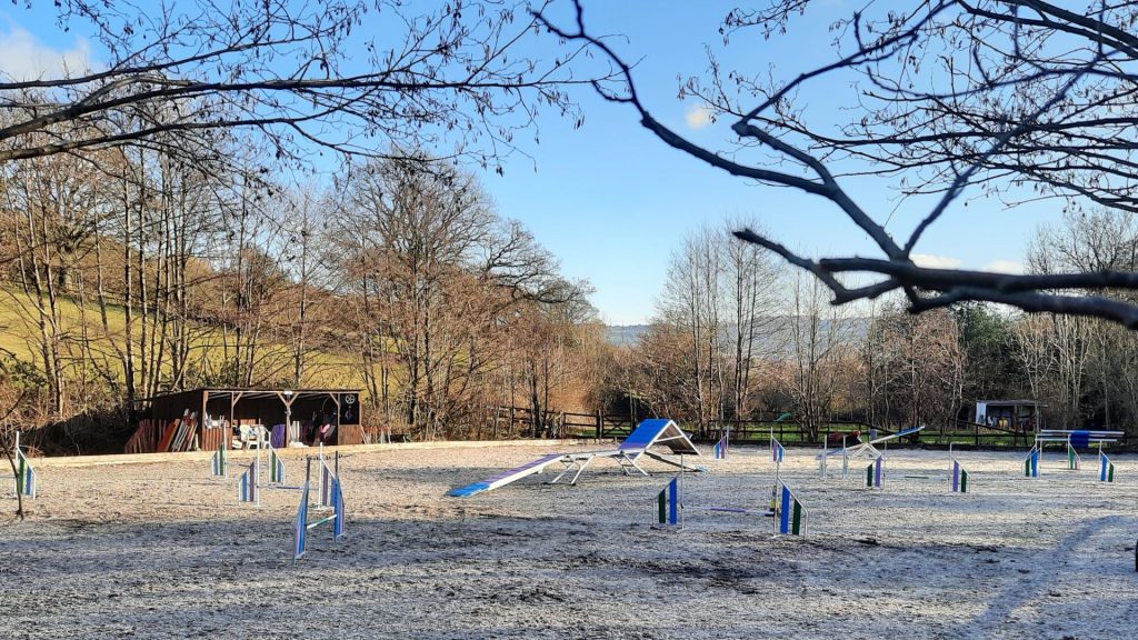 outdoor agility dog sports arena in caerphilly